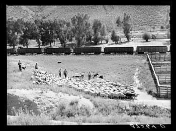 Cimarron, 1940.
