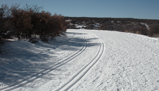 South Rim Drive ski trail grooming.