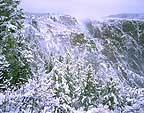 Winter Storm