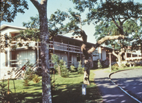 Pisgah Inn