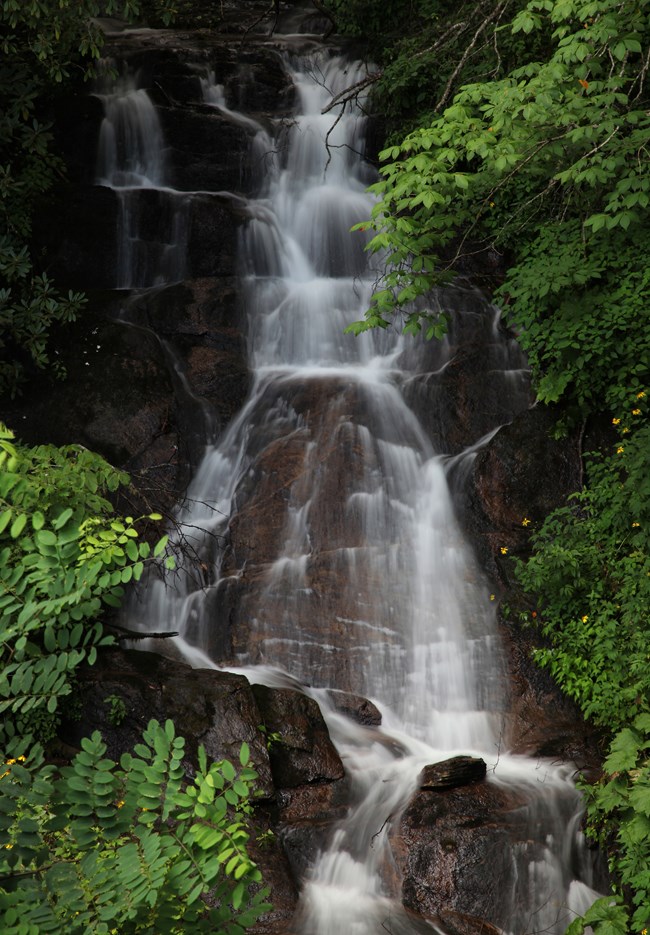 waterfall with greenery surrounding