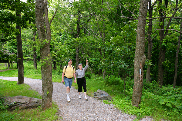 A couple walking down a trail in the forest.