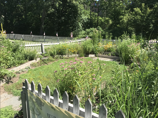 pollinator garden with fence in foreground and plants