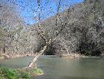Early Spring on the Bluestone