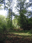 Bluestone Turnpike near Lilly