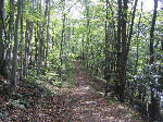 Bluestone Turnpike Trail