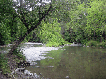 Bluestone River near Lilly 