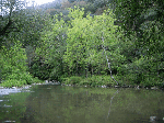 Bluestone River near Lilly