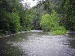 Bluestone River near Lilly