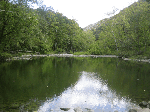 Bluestone River near Lilly