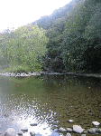 Bluestone River near Lilly