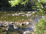 Bluestone River 