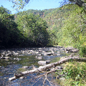 The Bluestone River