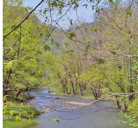 Bluestone River in springtime