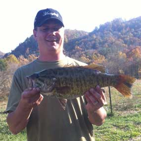 Bass2