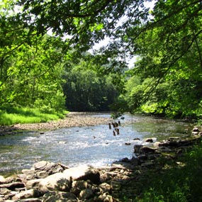 Bluestone River