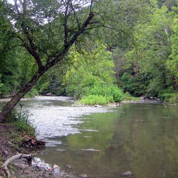 Bluestone River near Lilly