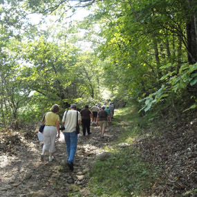 people walking on the Bluestone Turnpike Trail