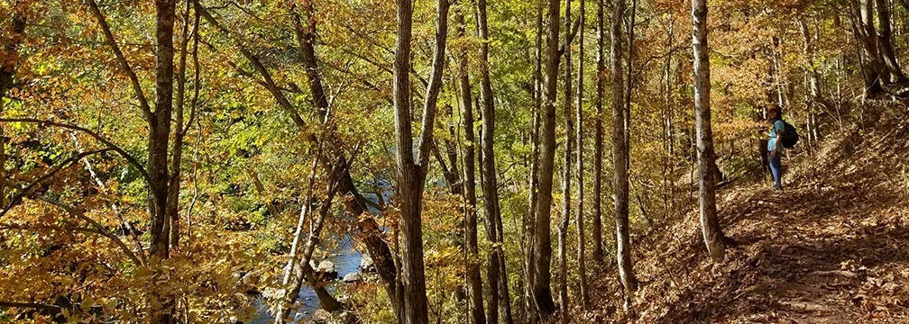 hiker on trail alongside river in fall hiker on trail alongside river in fall