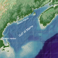 Boston Harbor and Maine Islands lie within the Gulf of Maine