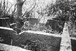 Gallops Island Ruins