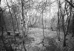 Grape Island Trail