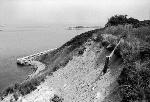Great Brewster Island Bluffs
