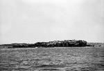Little Calf Island