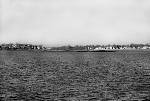 Raccoon Island