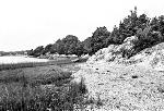 Ragged Island Shore