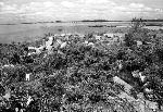 Rainsford Island Hospital Ruins