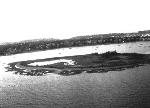 Snake Island