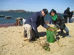 Volunteers prepare stems for planting..
