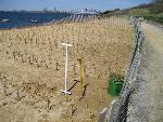 One Section Planted