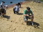 Volunteers