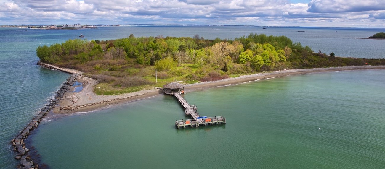 aerial view of a vegetated island with a long pier and dock.