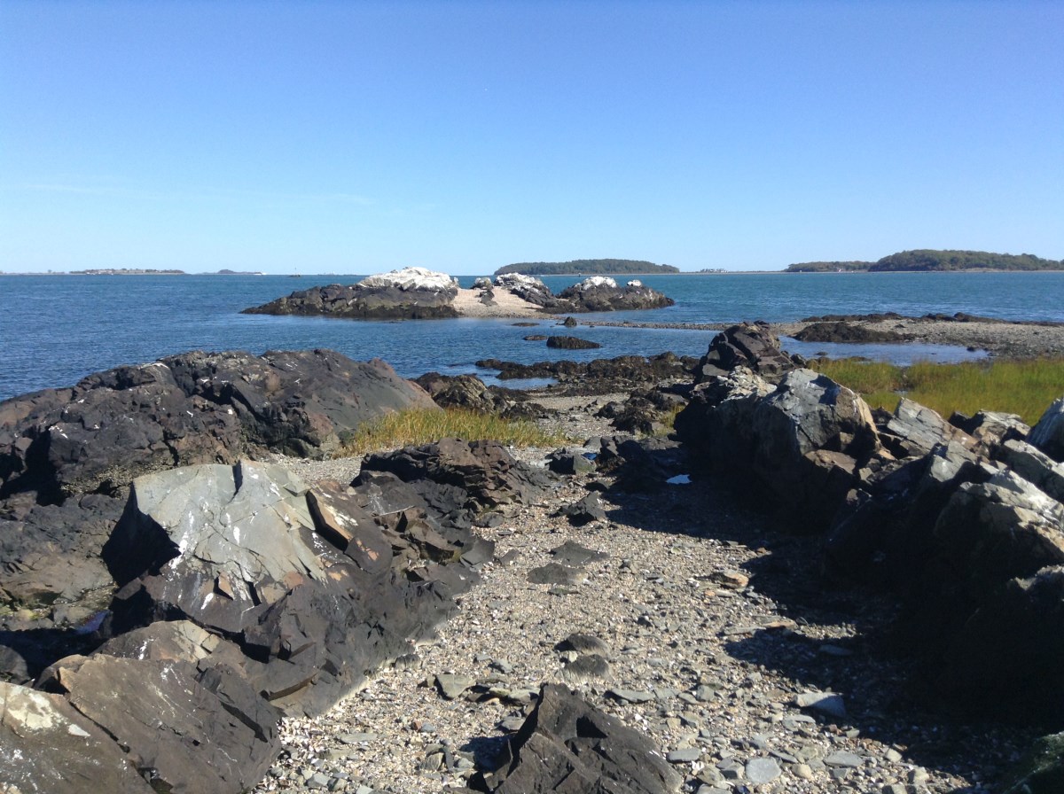 shoreline with large slate rocks and some patches of tall grass