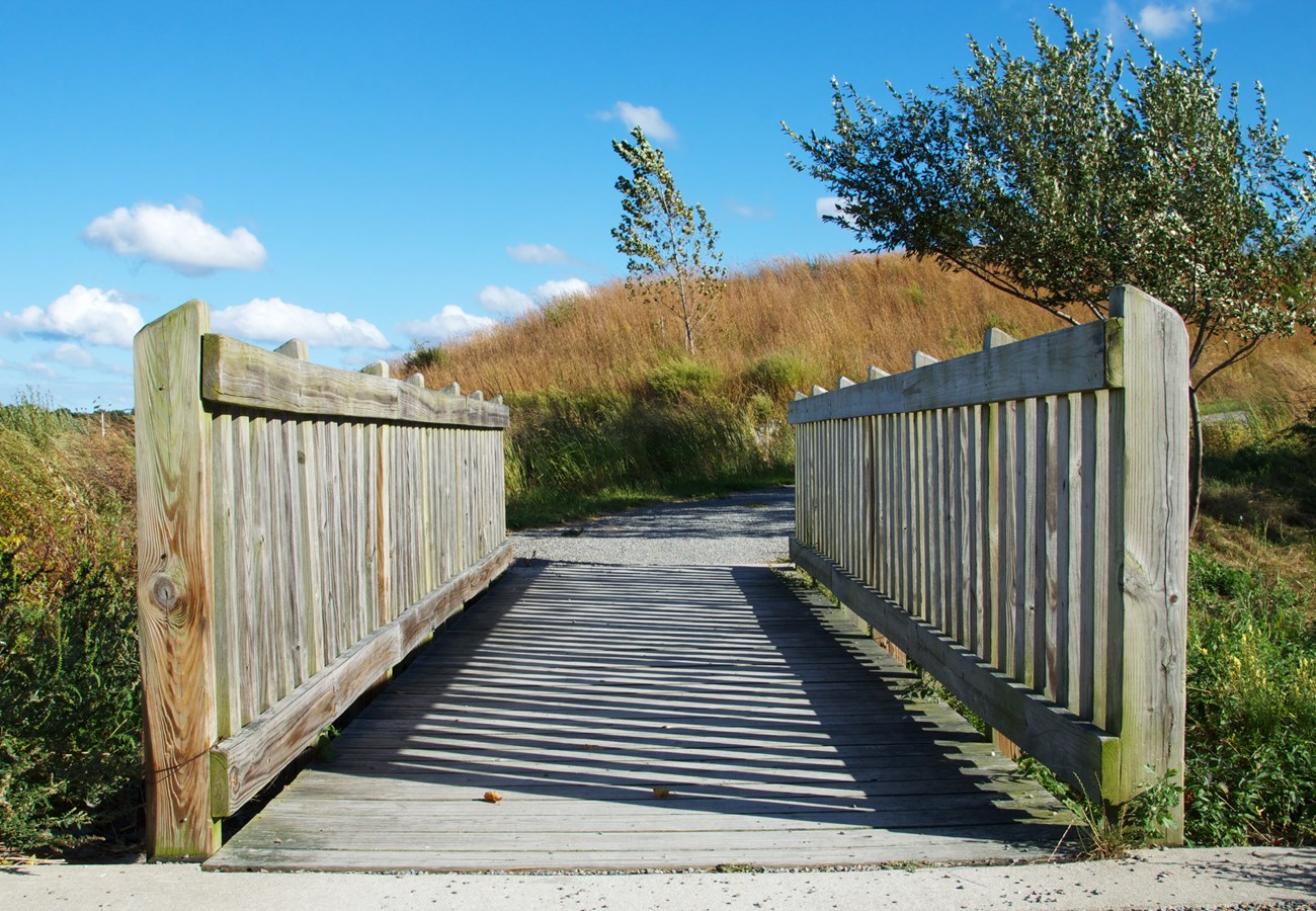 a short wooden bridge over an outgrowth of plants leads to a gravel path with a hill covered with brush in the background.