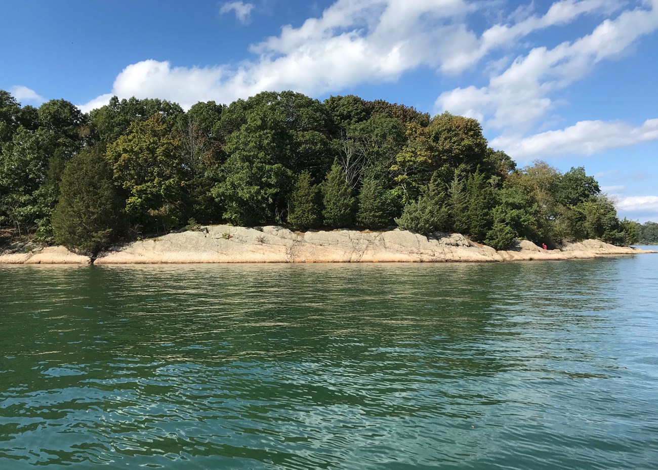 view from the water of an island dense with trees and shrubs.
