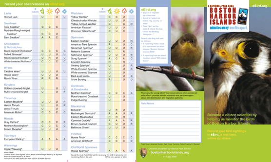 birdbrocropforwebpage556W