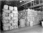 Abaca Bales
