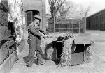 9. Hackeling