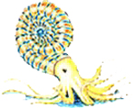 Arms Gayleson crawling through the ocean