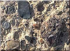 conglomerate