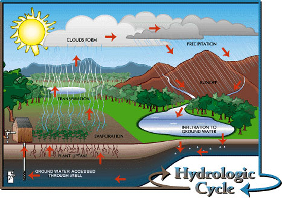 Hydrologic Cycle Steps