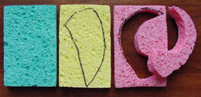 a represention of three sponges that can be used to create fossils. The left sponge(blue) is blank for young ideas, the middle sponge (yellow) has a drawing that could be used to represent a tooth. The right sponge (pink) has a