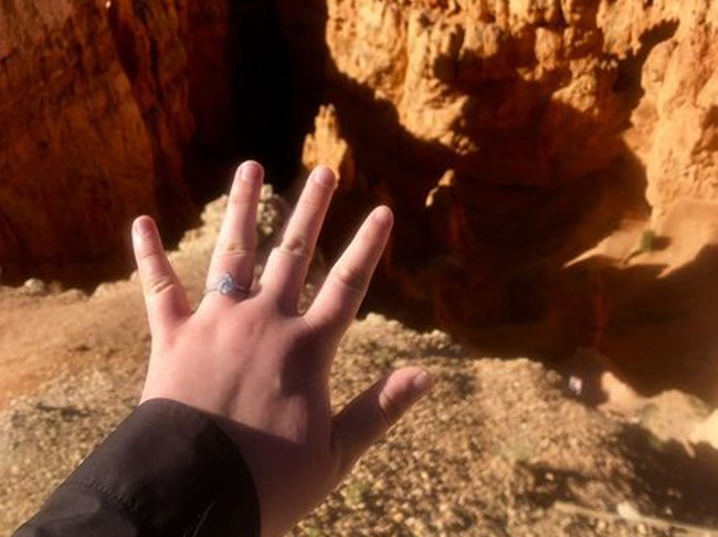 A hand with a ring on it is held outstretched over a landscape of red rock cliffs and spires.