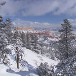 Blanket of snow on the pink cliffs and hoodoos of Bryce Canyon
