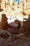 Switchbacks on the Navajo Trail into Wall Street