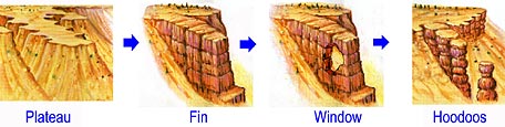 Four step formation process (Plateau-Fin-Window-Hoodoo) Four step formation process (Plateau-Fin-Window-Hoodoo)